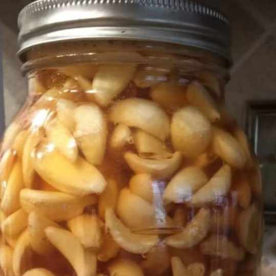 Fermented garlic in honey—a sweet and potent elixir with a safety tip